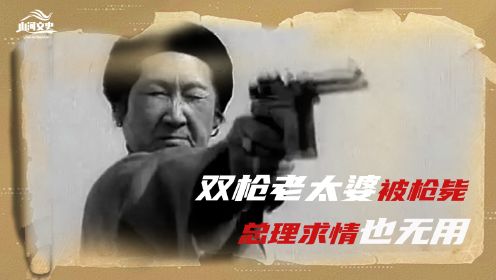 “双枪老太婆”赵洪文国，一心向党，为何会被“自己人”枪毙？