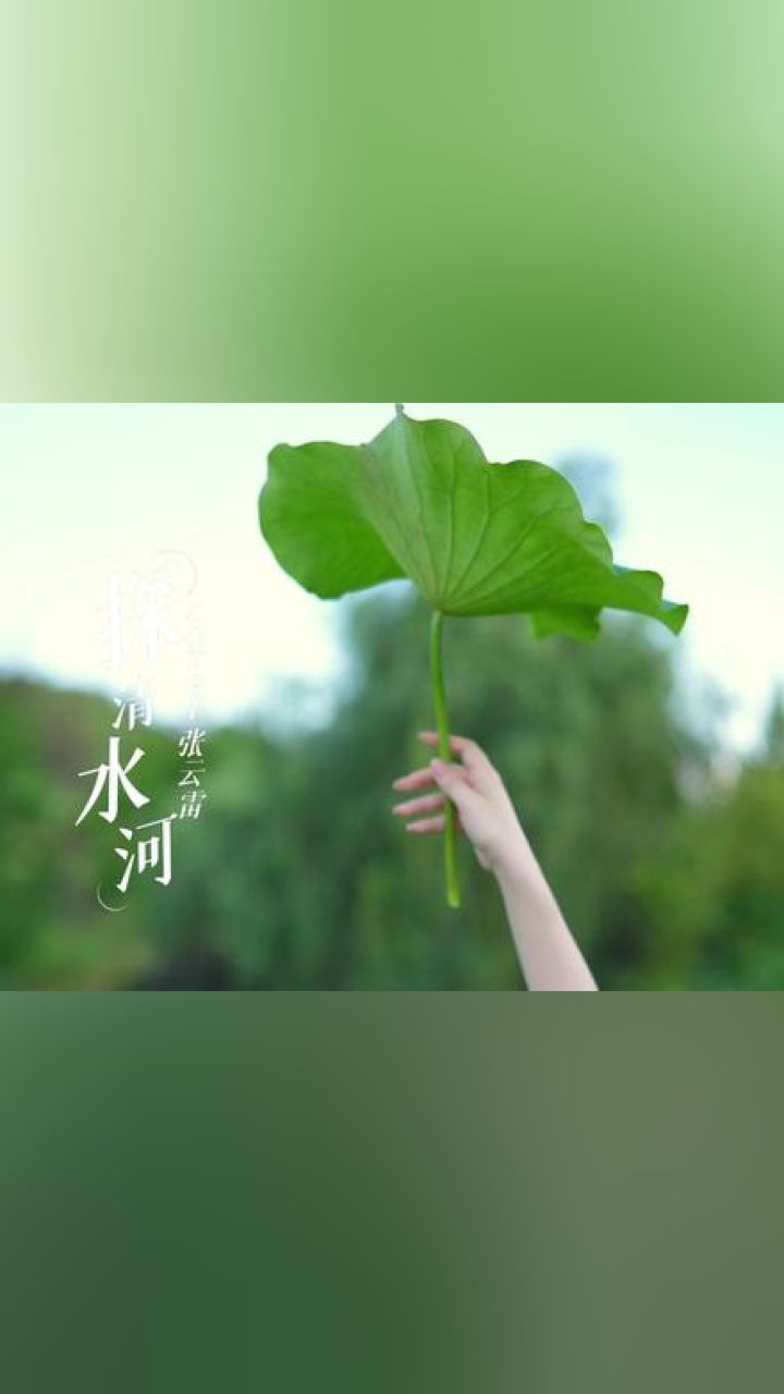 问世间情为何物?荷花池畔,静心看世界#探清水河 #唐艺大舞台