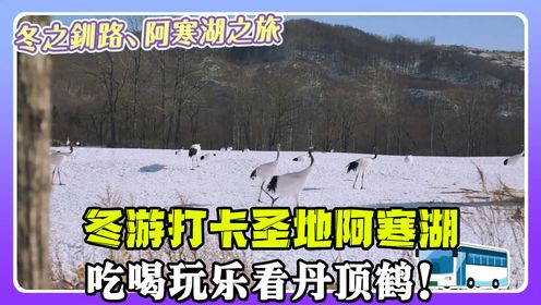 第346期:打卡冬季旅游圣地阿寒湖,吃喝玩乐看丹顶鹤,这样的旅程你喜欢