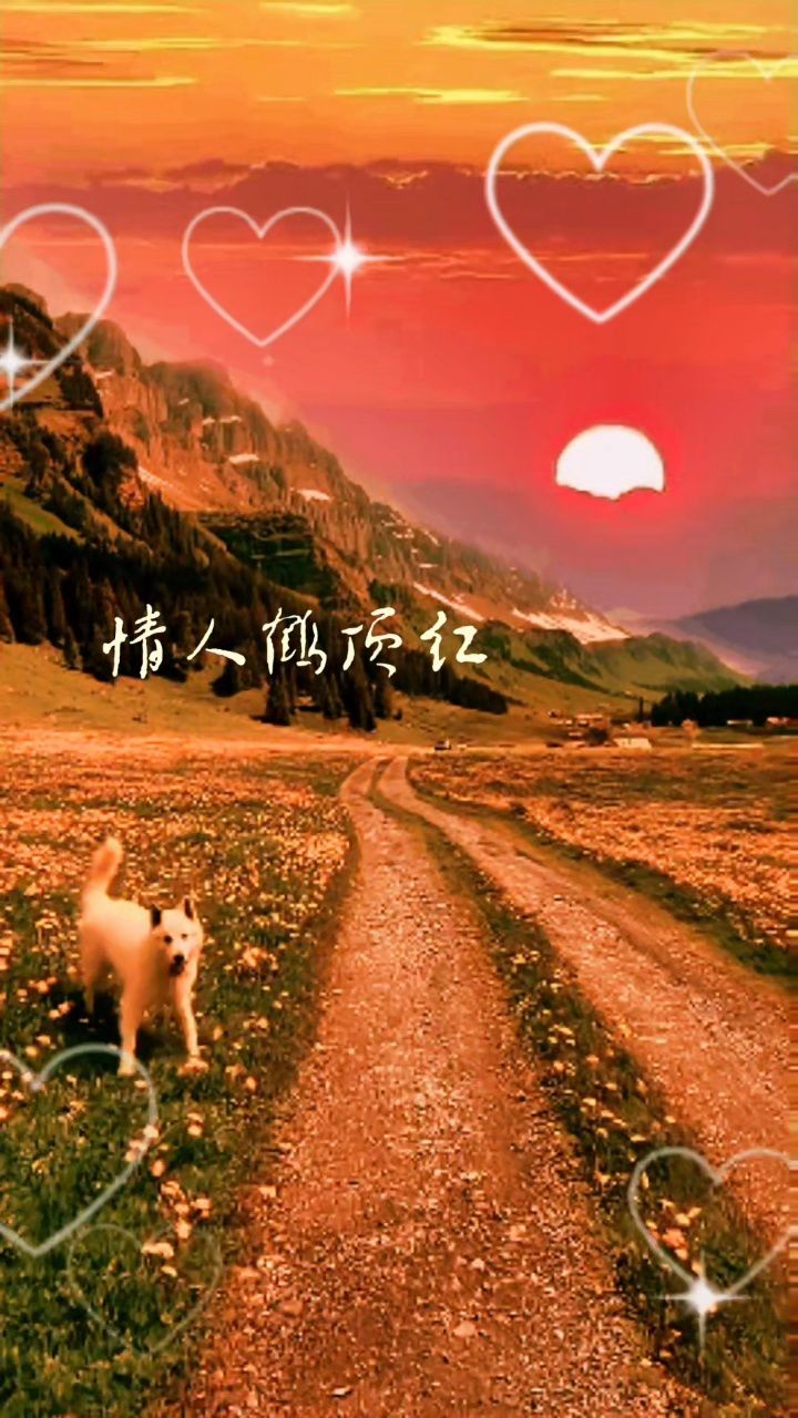 小阿枫版《情人鹤顶红》好听老歌翻唱