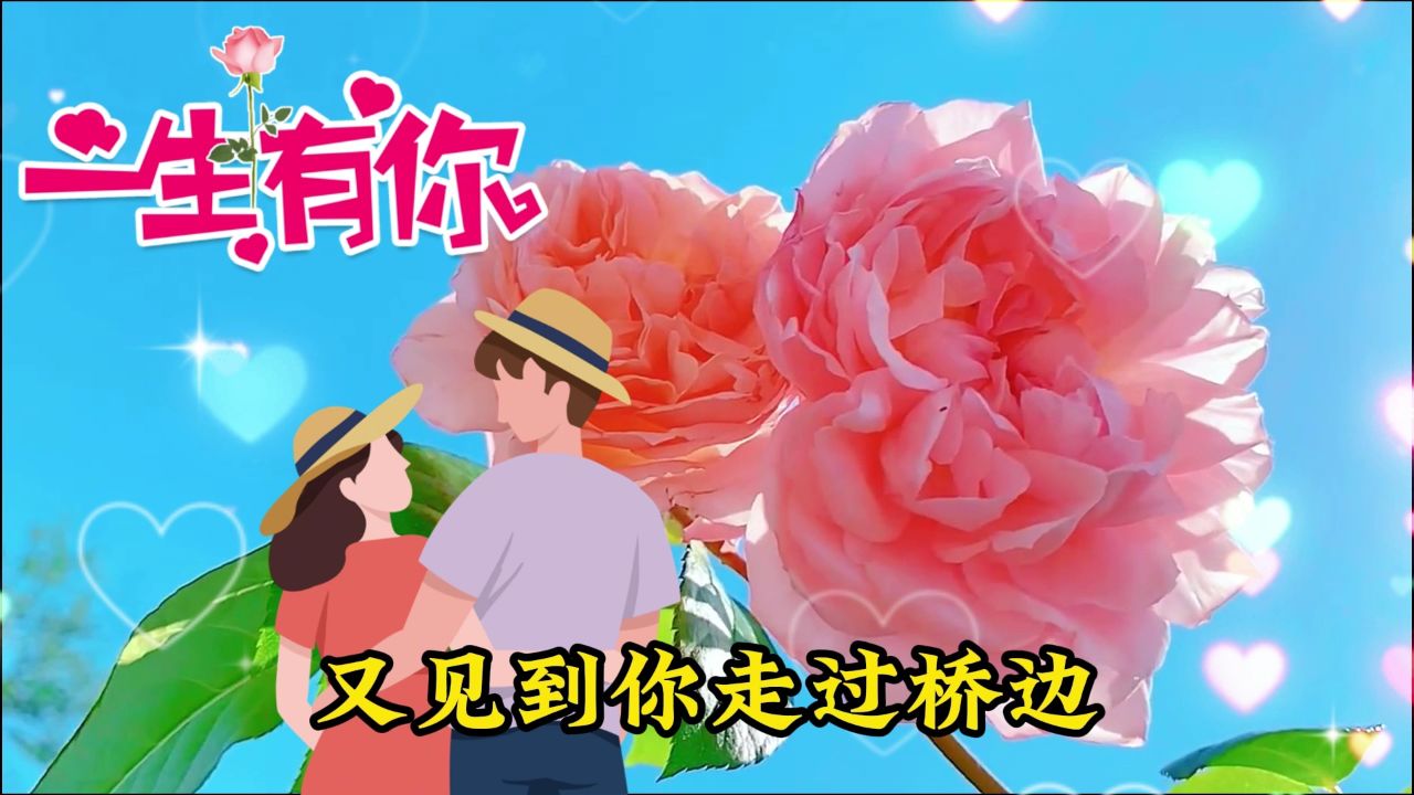 远方善良的你,就是我的幸运女神,感恩一路相伴!