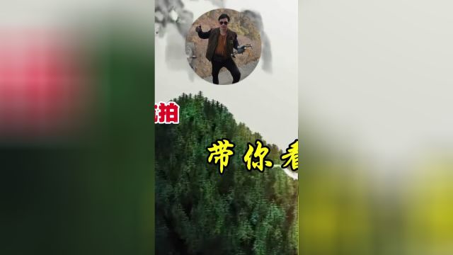 浙江舟山无人村,100多套海景房无人居住,现实版的绿野仙踪!