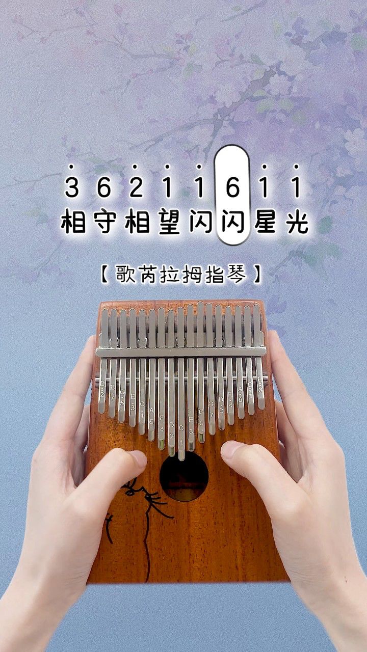 "心中的紫荆花,凭爱开花,同处一家" 《紫荆花盛开》卡林巴拇指琴演奏