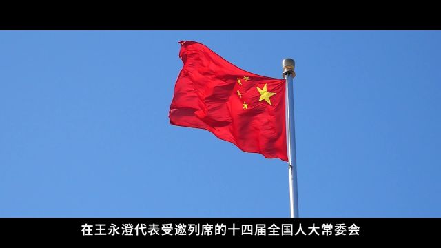 通道上的中国故事|“这是一份'摸得着'的民主”