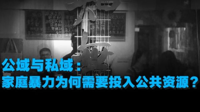 公域与私域:家庭暴力为何需要投入公共资源?