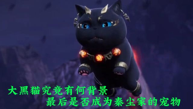 武神主宰:大黑猫究竟有何背景?最后是否成为秦尘家的宠物