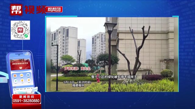 帮帮团问政热点:小区物业频繁砍树引质疑 园林部门到场发现问题