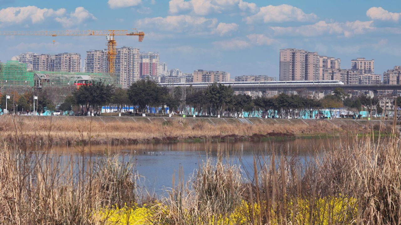 雒城印象:三星堆外春意浓,醉与花鸟为交朋