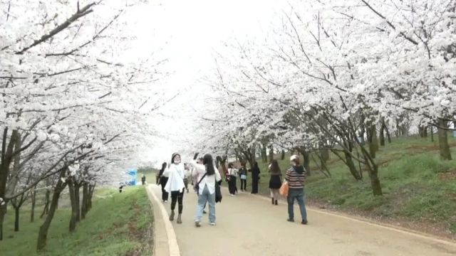 贵安文旅投公司:抢抓机遇 推动文旅产业高质量发展