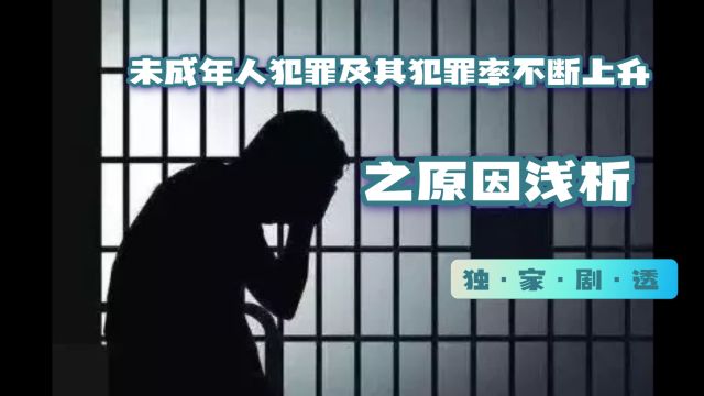 未成年人犯罪及其犯罪率不断上升之原因浅析