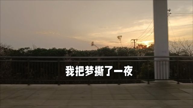 我把梦撕了一夜