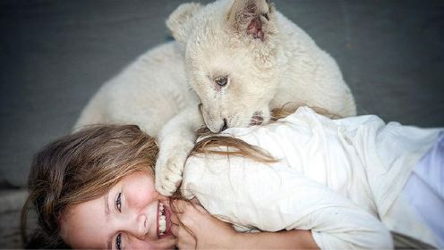 三年真实拍摄，一个11岁小女孩和白狮的故事！