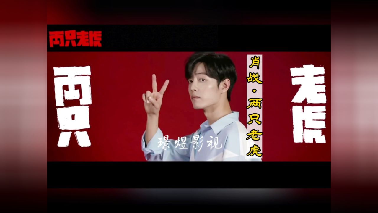 肖战·两只老虎