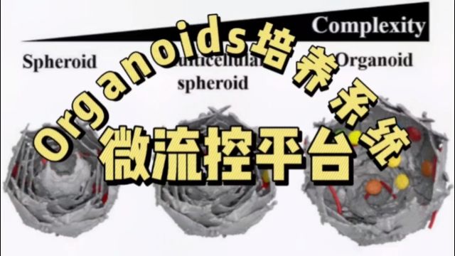 Organoids的微流控培养平台