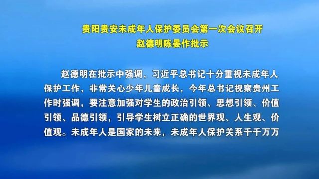 贵阳贵安未成年人保护委员会第一次会议召开 赵德明陈晏作批示