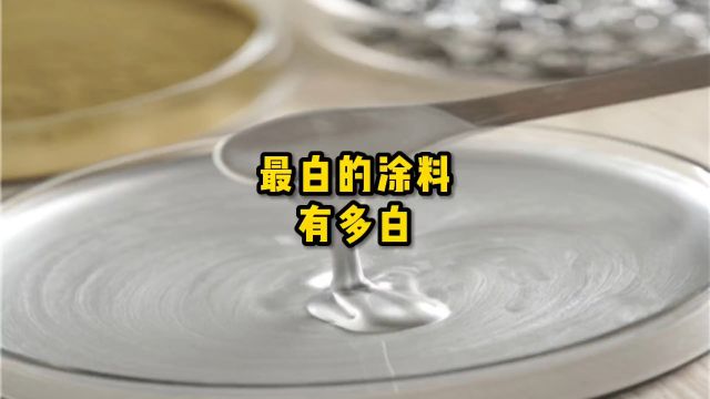 与梵塔黑对应的“超白涂料”,你知道是什么吗?#科普一下 #涨知识