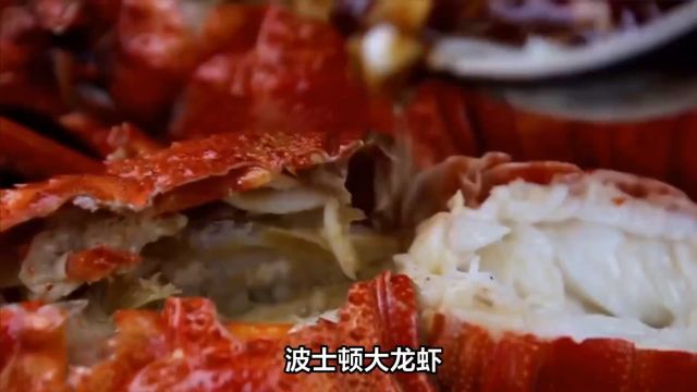 如何制作波士顿大龙虾?教你打造海鲜佳肴新体验