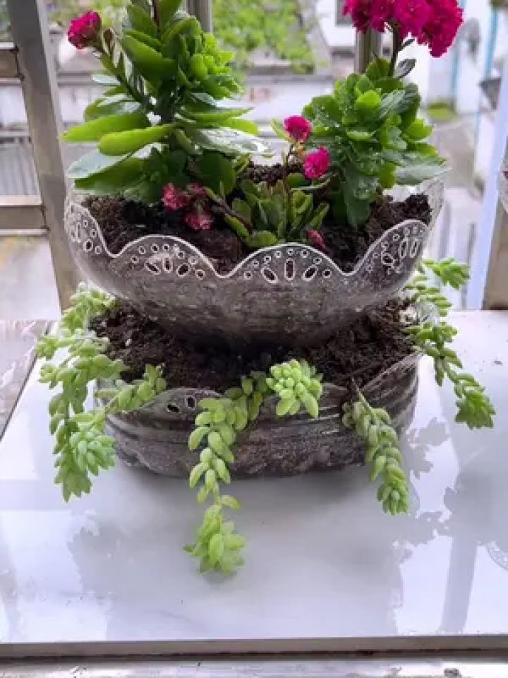 朋友赶紧试试吧#变废为宝 #自制花盆 #手工 #空瓶子的妙用 #手工花盆