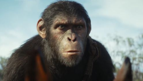 超多新画面！科幻大片《猩球崛起4》IMAX独家预告，一群猩猩追杀人类！