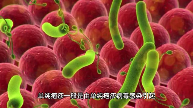 女人阴部疱疹东莞莞医hpv性病中心