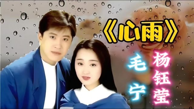 《心雨》毛宁&杨钰莹,热门歌曲值得听听!