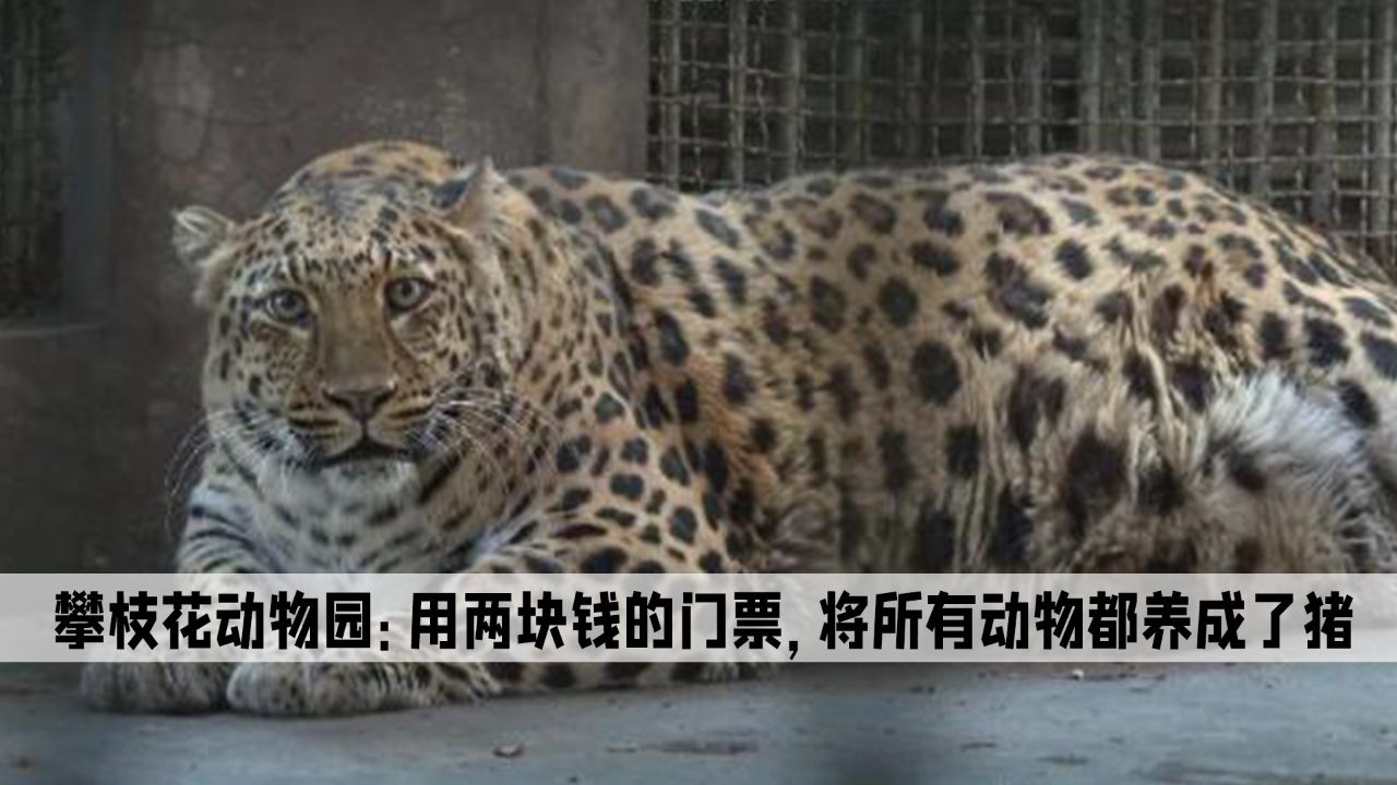 淄博动物园门票图片