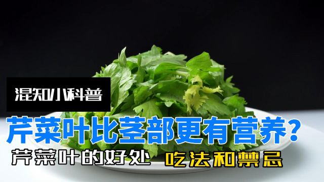 芹菜叶比茎部更有营养?扔掉可惜了,芹菜叶怎么吃?吃芹菜的禁忌