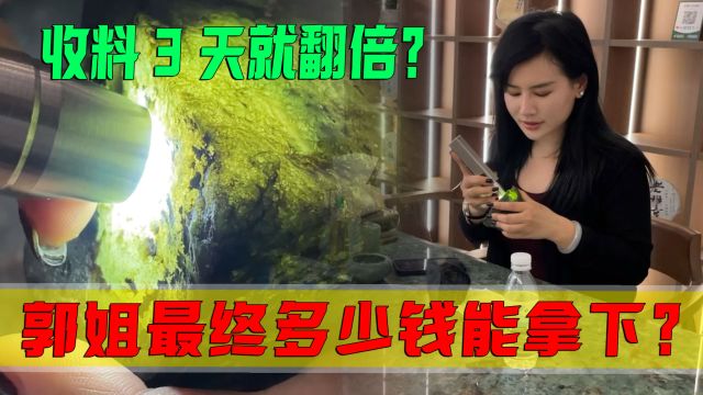 马仔这钱也太好赚!收料3天就翻倍出?郭姐最终多少钱能拿下?