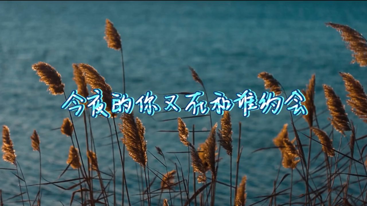 今夜的你又在和谁约会