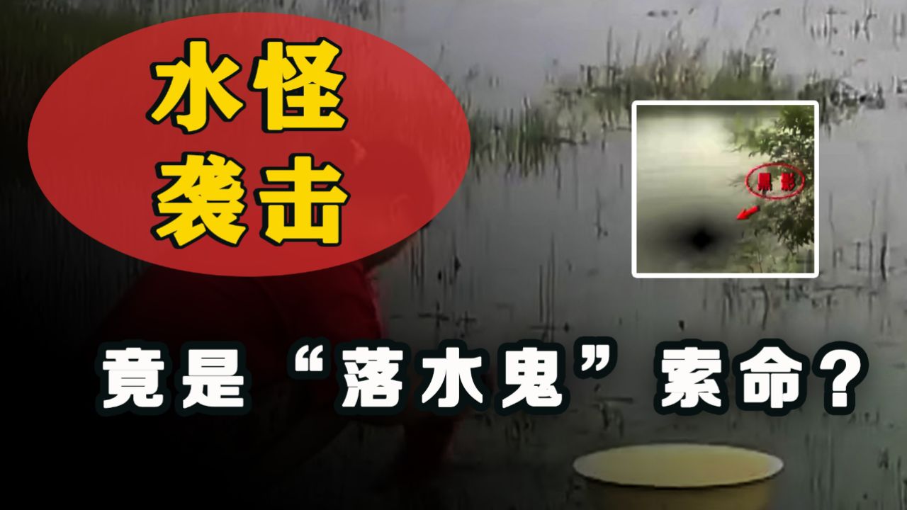 女子河边洗衣服被"水怪"袭击,被说是"落水鬼"索命,专家笑了