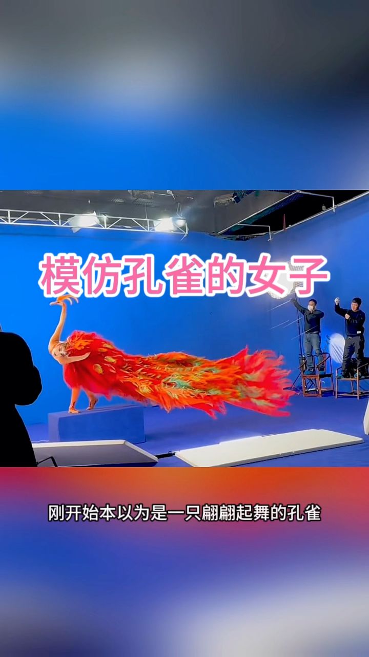 模仿孔雀的女子,跳的舞蹈太完美了