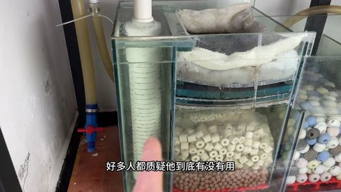 不到10块成本做的鱼马桶,已经使用了5天,看效果如何0202