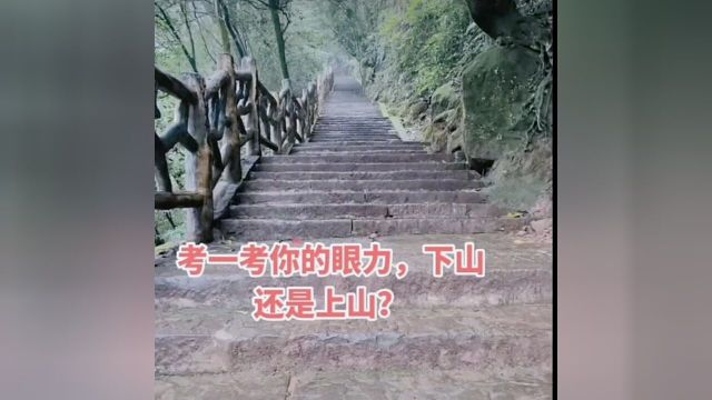 登高望远放飞心情感受大自然的气息和美景