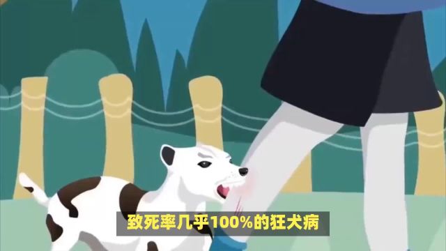 狂犬病:致死率近100%的急性传染病