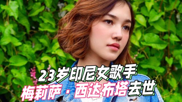 印尼歌坛新星梅莉萨ⷮŠ西达布塔突然离世,年仅23岁