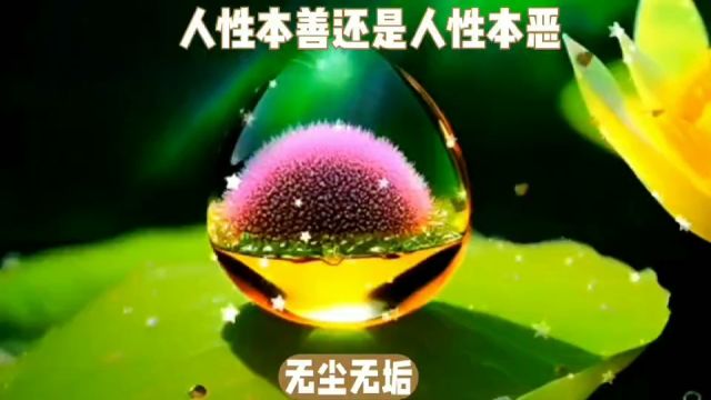 人性本善还是人性本恶?善恶就犹如阴阳,太极才是根本