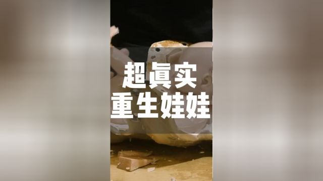 超真实重生娃娃的制作过程重生娃娃收藏硅胶娃娃老外真会玩涨知识