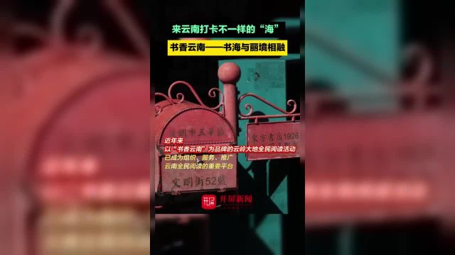 来云南打卡不一样的“海”,书香云南——书海与丽境相融