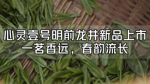 心灵壹号明前龙井新品上市,一茗香远,春韵流长!