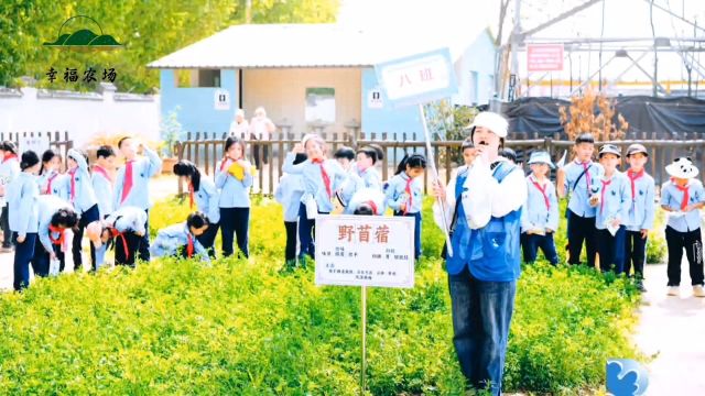 西安幸福农场国情教育研学实践基地 2024年4月11日接待学校研学活动!