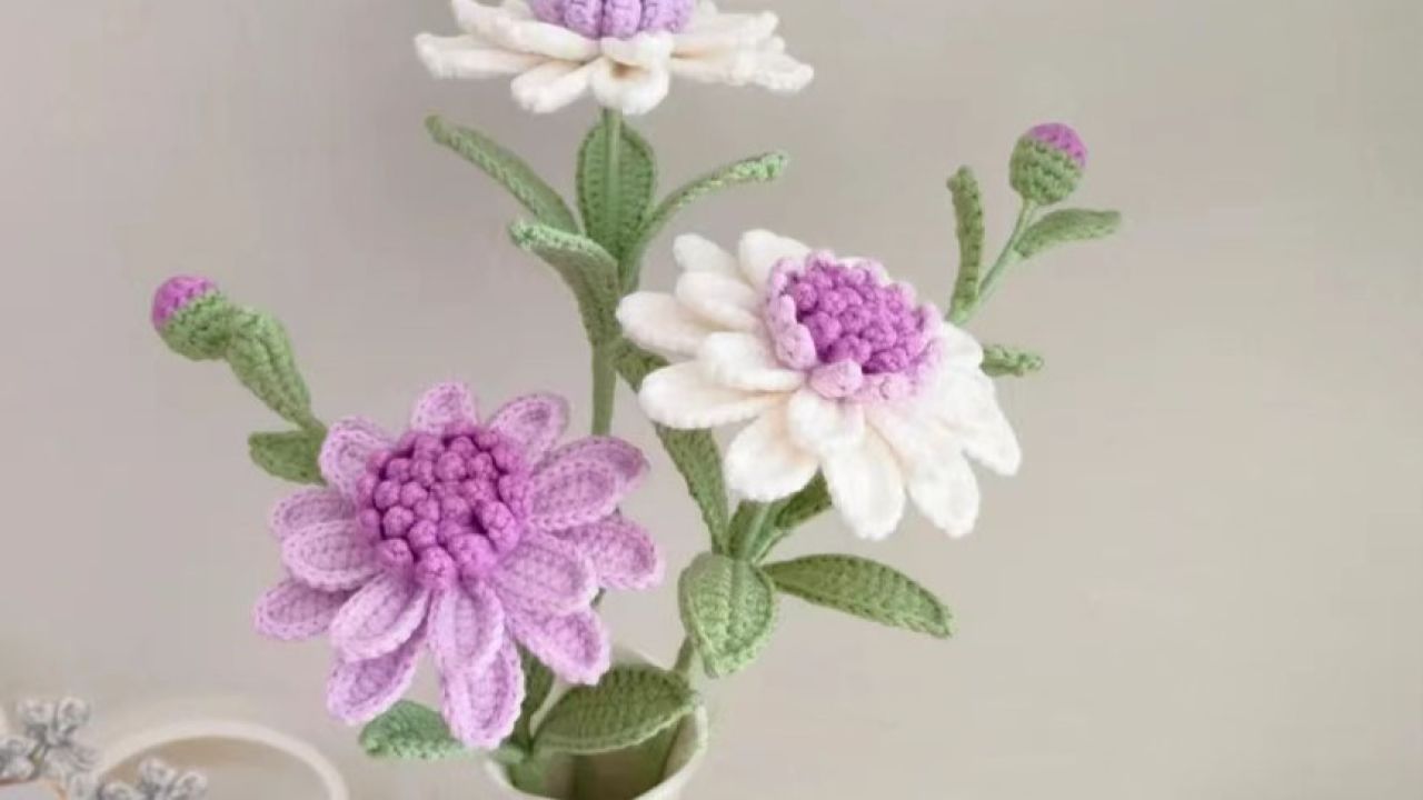 蓝目菊组装教程