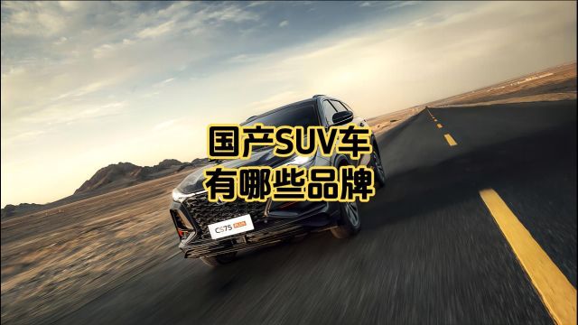 国产SUV车有哪些品牌