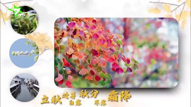 清明节气:恰是春天最美时