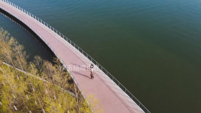 航拍泰州天禄湖,美丽樱花沿河绽放,尘世美景扑面而来