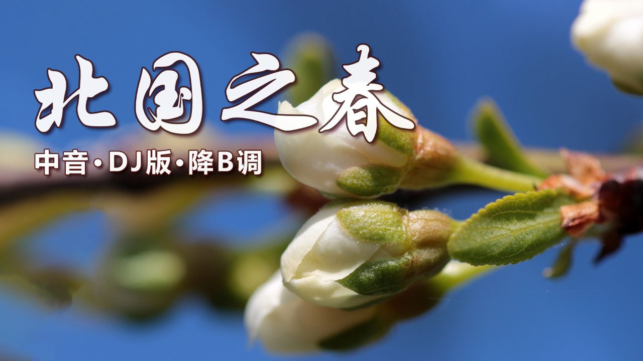 好听的经典老歌,萨克斯一曲《北国之春》,曲调悠扬音色美妙动听
