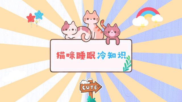 猫咪睡觉冷知识,快来看看吧!