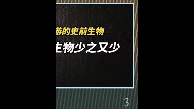 10 种地球上最惊人的史前生物