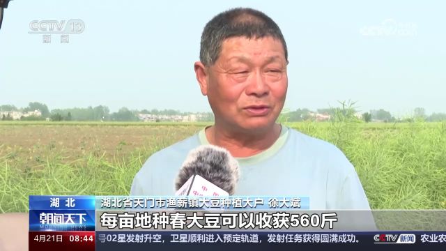 高科技为田间管理“保驾护航” “好种子”让希望的田野“丰”光无限