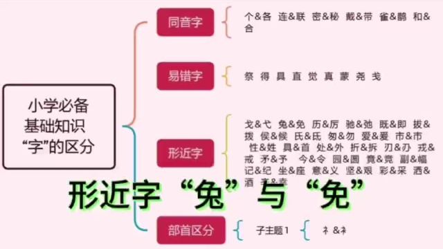 019第十九集 【形近字】 兔、免