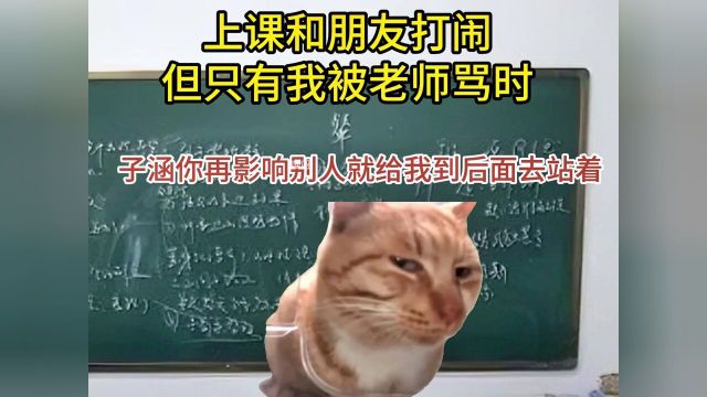 #人间真实#上课日常#猫咪表情包